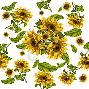 向日葵图案无缝印刷图案 向日葵花的表示 明亮的花朵在光背景上绘画树叶手绘织物花卉纺织品太阳植物群包装植物背景