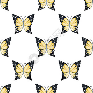 黄色黄蝴蝶 无缝 不白色高清图片