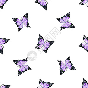 白色上的水彩紫色紫蝴蝶无缝图案背景图片