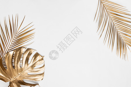 白色墙壁和奶油色柔和地板上的棕榈叶阴影 创意夏季最小模型的阴影棕榈叶的抽象背景 浅色背景下的中性热带棕榈模型 几何背景照片树叶小背景图片