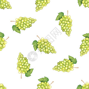 葡萄图案白上水彩绿葡萄无缝模式背景