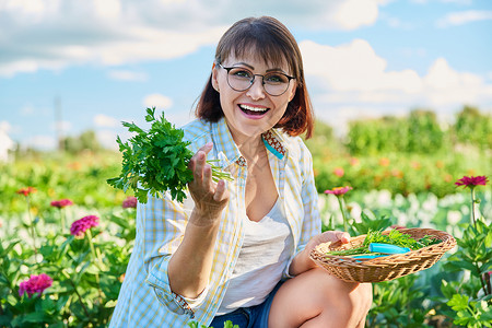 菜园中年期妇女 种植食草类作物中年味道生长茄子自然剪刀女性女士绿色植物农业背景图片