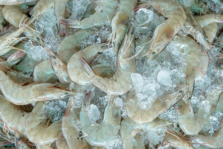 冰上海鲜碎冰上的新鲜白虾在市场上出售 在海鲜餐厅烹饪的生虾 海鲜行业 贝类动物 虾市场 未煮熟的大虾 冷冻食品厂的虾老虎贸易杂货店加工甲背景