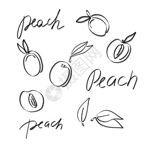 桃子图标带手写文字的桃子和全桃子 黑线水果插图设置为孤立收藏热带种子白色小吃卡通片果汁草图涂鸦黑色背景