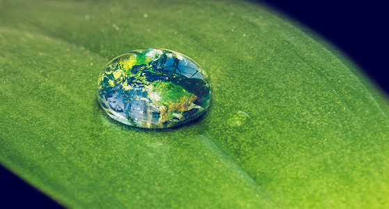 绿色行星水是世界生命之源 叶子上滴水的近距离镜头背景