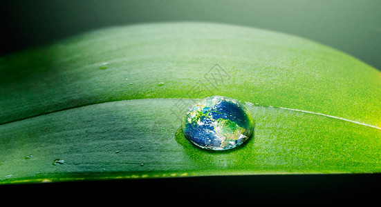 地球与水滴大自然在水中繁衍 叶子上滴水的近距离镜头背景