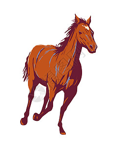 街舞大赛海报美国西部野马或野马自由旋转骑马大赛 在世界保护协会招贴画艺术背景