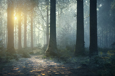 神奇的童话森林 绿苔草覆盖的隐秘森林 神秘的大气公园魔法木头环境绿色太阳薄雾阳光想像力风景背景图片