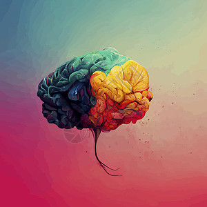 人类大脑的彩色插图 人脑的详细二维插图 大脑的一部分艺术动画头脑思维天才创造力科学工艺教育医疗背景图片
