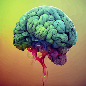 人类大脑的彩色插图 人脑的详细二维插图 大脑的一部分教育医疗智力天才工艺药品思维艺术科学心理学背景图片