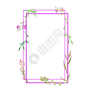 粉色矩形边框紫色花朵和绿色叶子 白色背景上隔开的方形水彩 以白边框隔开背景