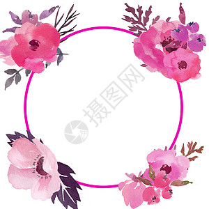 肉粉色水彩花朵花环水彩花框圈 婚礼请柬花优雅的请柬设计 粉红色的花园花 桃玫瑰与水彩背景