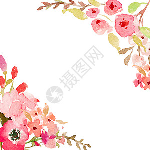 肉粉色水彩花朵花环水彩花框背景 水彩花卉贺卡 白色背景与美丽的粉红色花朵背景