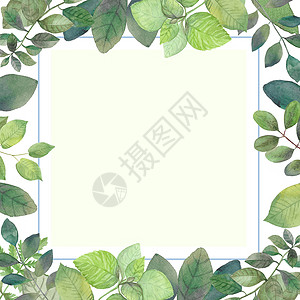 绿色水彩边框婚礼请柬叶子在卡片边缘周围用软水彩色环绕着卡片四周背景