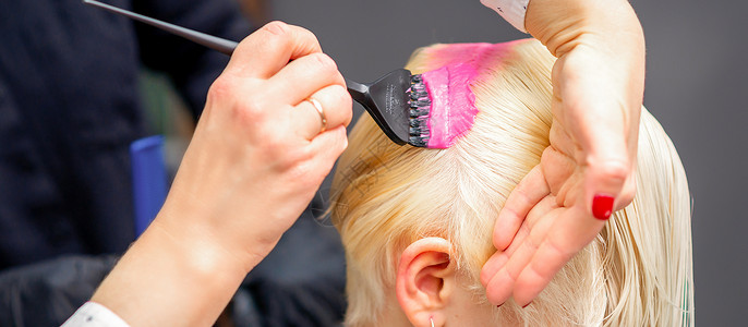 在理发店里 施粉色染色 用笔刷着一位金发年轻女子的白头发理发师发型金发女郎女士女性工作生态刷子染发剂发型设计背景图片