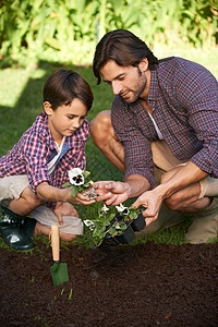 给你孩子买房了嘛给 你种这个 父亲和儿子在花园里种花背景