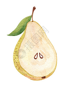 手绘水果梨元素水彩半梨 白上隔离的种子背景