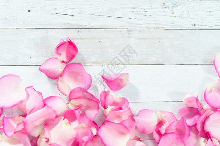 玫瑰花瓣玫瑰花瓣假期粉色背景图片