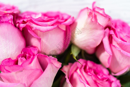粉红玫瑰玫瑰花瓣假期粉色背景图片