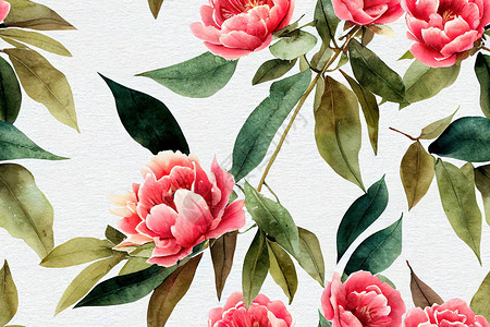 边框手绘水彩秋天花朵的花束 玫瑰花背景