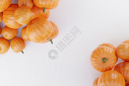 白色背景的3D 种子模版葫芦蔬菜植物感恩橙子农业营养季节壁球南瓜图片