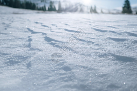 雪纹理 新鲜的雪纹理背景 冬季背景与雪堆和模糊景观 下载图片背景图片