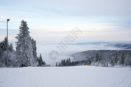 德国黑森州 Ren 的山上壮丽的冬季景观 神奇的高大苍松和雪杉覆盖着冰雪 地平线创造了一种幻觉 并与多云的天空和雾气融为一体 覆背景