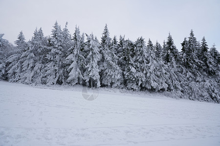 一切都将是惊人德国黑森州 Rhoen 的树林中的冬季景观 雪中的溪流和瀑布 高大的松树和雪冷杉 都被雪和冰覆盖着 冰冷的树木几乎是假的几何形状背景