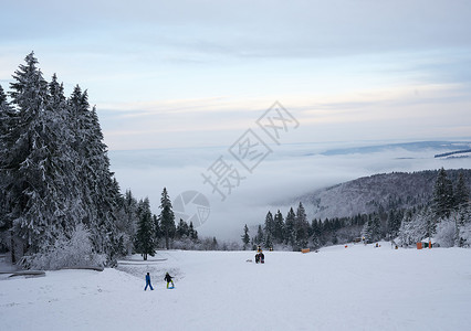 德国黑森州 Ren 的山上壮丽的冬季景观 神奇的高大苍松和雪杉覆盖着冰雪 地平线创造了一种幻觉 并与多云的天空和雾气融为一体 覆背景