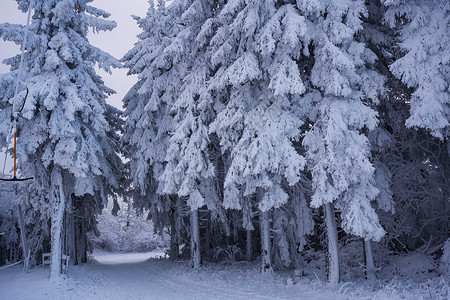 富氢水杯冬季在雪地滑雪 滑雪板或雪橇上放松的概念 在日落时在德国黑森州山的 Rhoen 夕阳下散步背景