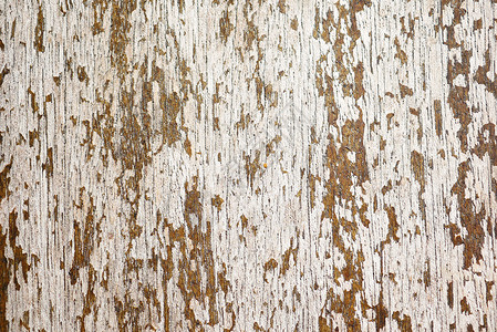 复制空间的浅色木制背景乡村地面木板木头背景图片