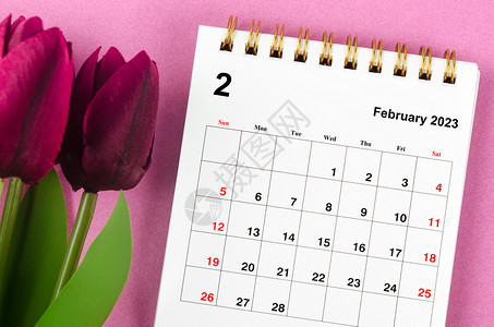 2023年2月的月度案头日历 历时2023年 红色郁金香贴在粉红背景上背景图片