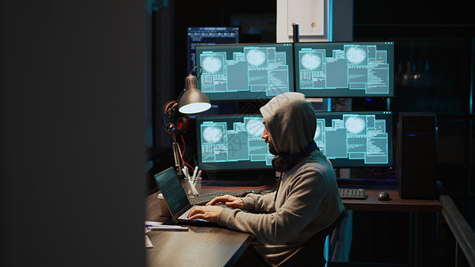 黑客编程侵入网络安全服务器的编程窃盗案背景