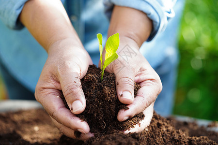 自然世界环境日图片用手种植树木 生态地球日 拯救世界 拯救地球 绿化教育生态行星生物学植物叶子回收生活生长商业背景
