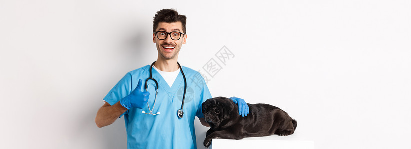 快乐的男医生兽医检查可爱的黑狗哈巴狗 竖起大拇指表示赞同 对动物健康感到满意 站在白色背景上犬类擦洗桌子医院实验室药品保健工作成背景图片
