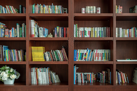 手册目录家庭图书馆不同书籍的木制书架视图 图书馆书架上的书籍 文学和植物背景