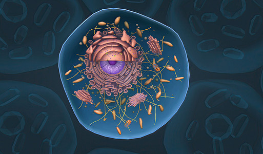 细胞结构和功能 细胞机动器高清图片