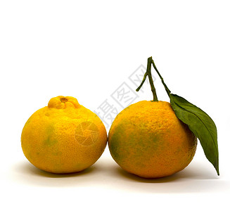 开瑞坦坦吉瑞因丹吉林食物树叶甜点水果皮肤宏观饮食橘味果皮膳食背景