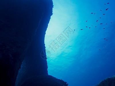 有小鱼和岩石的水底底底底底水下水族馆射线地面阳光光束液体海洋太阳藻类风景背景图片