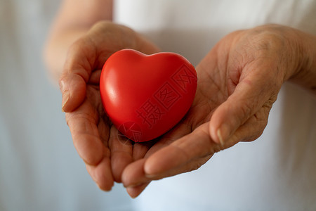 祖母手捧红心 医疗保健 爱 器官捐赠 正念 幸福 家庭保险和 CSR 概念 世界心脏日 世界卫生日 国家器官捐赠日家庭日家庭捐赠背景图片
