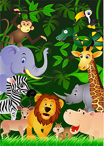 红山森林动物园矢量插图有趣的动物漫画设计图片