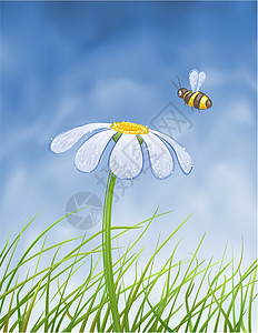 蓝目菊蓝菊和蜜蜂设计图片