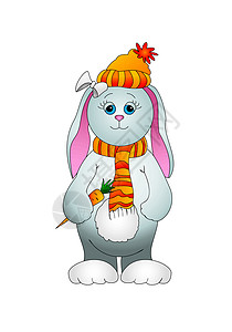 兔子胡萝卜分隔母兔与胡萝卜设计图片