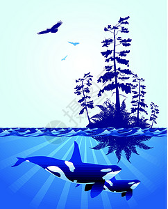 逆戟鲸抽象的太平洋西北海洋景点设计图片