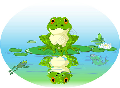 一只蟾蜍青蛙反射池塘荷花卡通片插图蟾蜍微笑叶子动物绿色设计图片