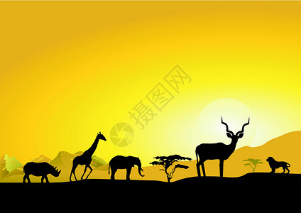 杭州野生动物世界非洲之夜设计图片