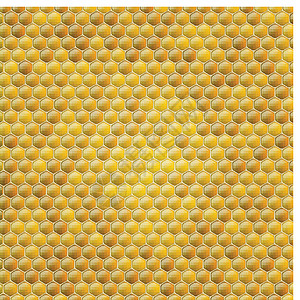 吃蜂蜜矢量蜂蜜梳子背景橙子蜂蜡黄色细胞棕色食物液体药品绘画水晶设计图片