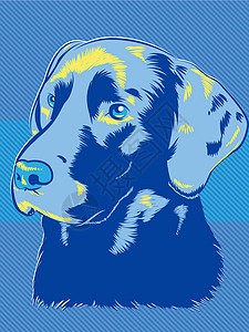 巧克力拉布拉多犬蓝狗设计图片