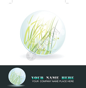 透明球素材球体里面有春天 矢量闪亮的球液体活力植物反射气泡按钮瓢虫水晶美丽网络设计图片