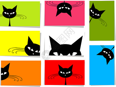 黑色的猫一套有趣的猫 10张卡片给你设计 配有文字的地方小猫哺乳动物插图猫咪框架乐趣动物宠物卡通片草图设计图片